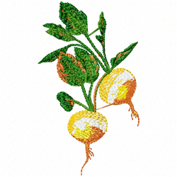 Radish Embroidery Design 3